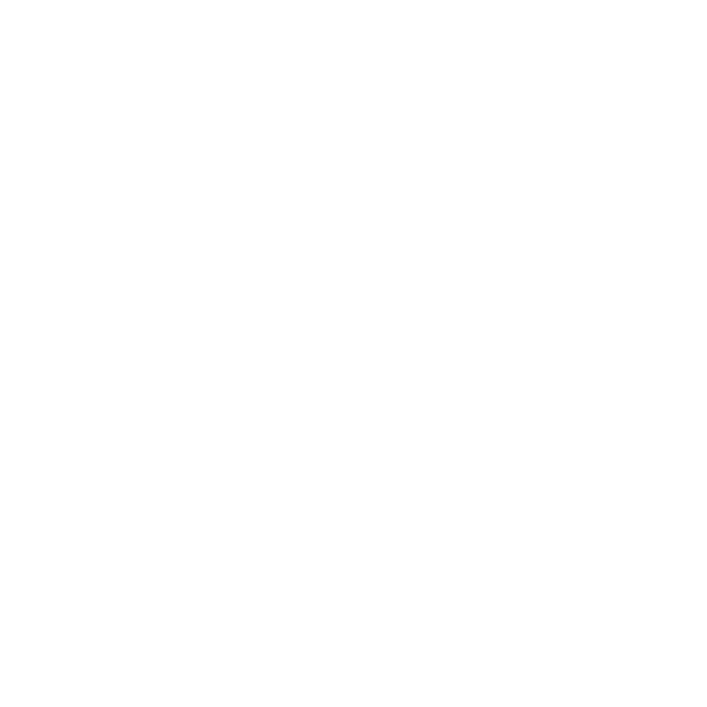 Roman Industries Logo